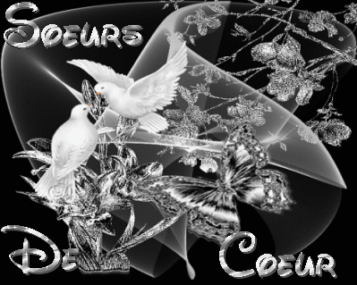 Image du Blog nymphea.centerblog.net