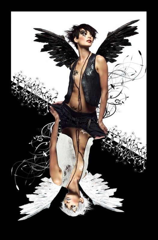 Image du Blog nymphea.centerblog.net